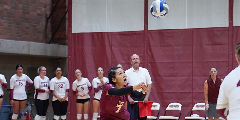 Shyla Sato prepares to dig the ball for the Bearcats.